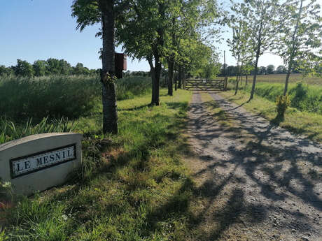 La chouette escale le Mesnil La chouette escale le Mesnil