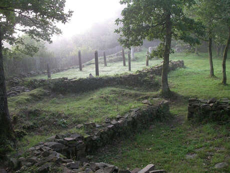 La Motte Castrale d'Olivet