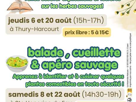 Ateliers découverte des plantes sauvages