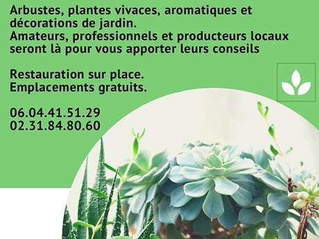 Marché aux plantes