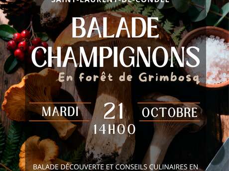 Balade champignons