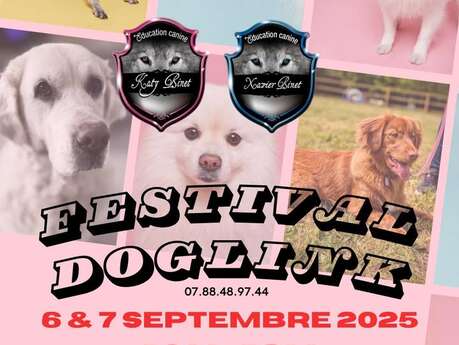 Festival DogLink