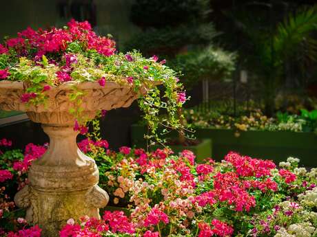 Arts au jardin