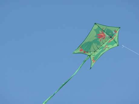 Festival de vent