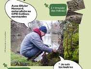 Loutre où es-tu, que fais-tu ?