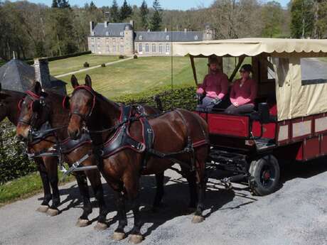 Les Chariots Gourmands de la Suisse Normande