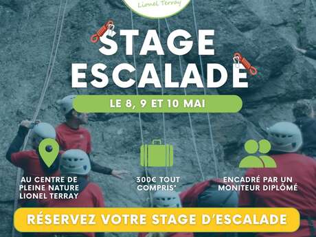 Stage escalade