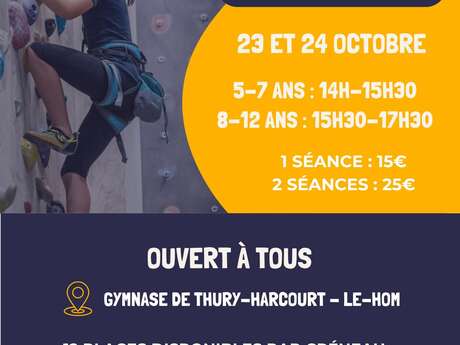 Stage d'escalade