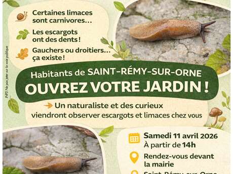 Escargots & limaces : une vie à 100 cm/h !