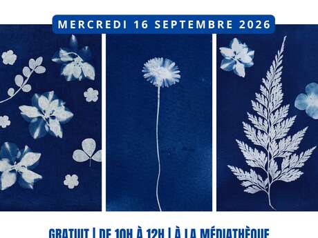 Atelier cyanotype