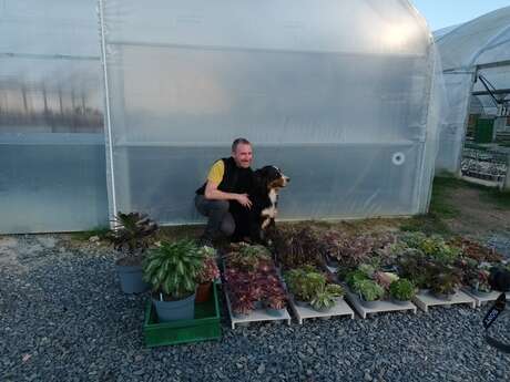 Talents d’Ici – Visites d’entreprises en Cingal–Suisse Normande- Suisse Normande Succulentes