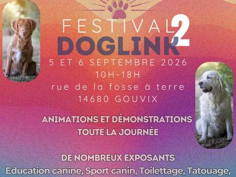 Festival DogLink