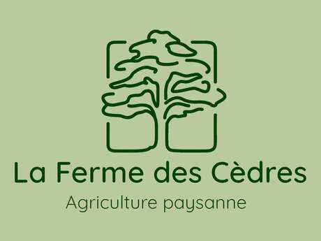 Marché paysan et festif