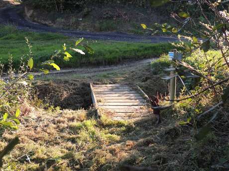 Saint-Amand-sur-Sèvre : circuit n°6 La Poitière