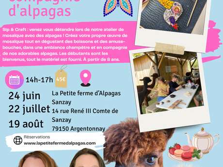 Atelier mosaïque avec les alpagas