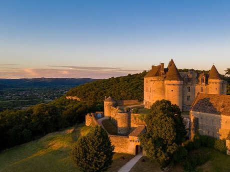Château de Fénelon