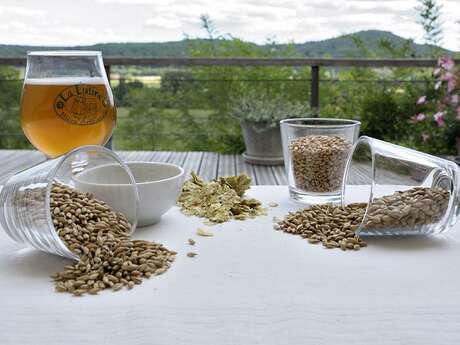 Savoir-faire au rendez-vous : Brasserie la Lutine