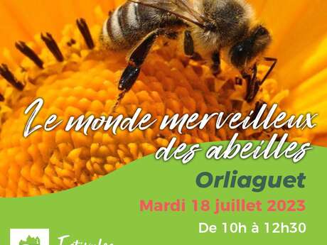 Les Estivales : Le monde merveilleux des abeilles à Orliaguet