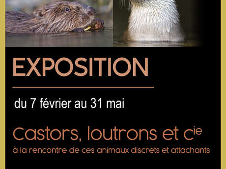 Musée L'Abbaye - Exposition - Castors, loutrons et cie