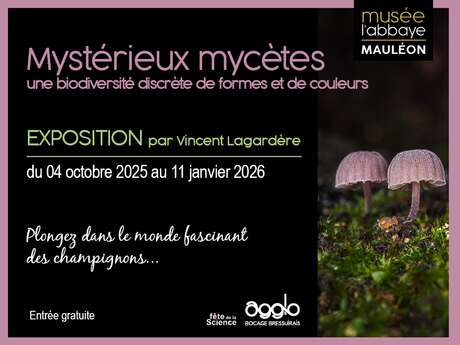 Exposition - Mystérieux mycètes, une biodiversité discrète de formes et de couleurs