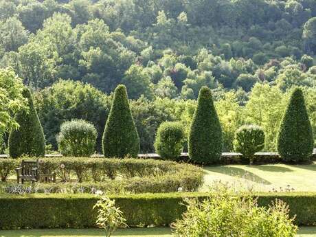 Voir sans être vu : les oiseaux du jardin