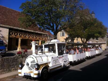 Le Petit Train Dommois