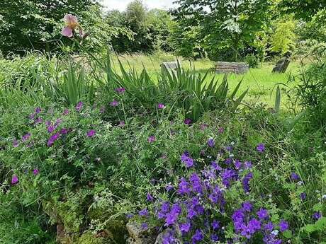 Rendez-vous aux Jardins - Jardin vivrier et paysager de La Bennerie
