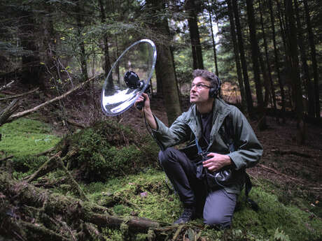 Paysage sonore - À l'écoute du vivant Paysage sonore - À l'écoute du vivant