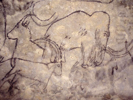 Journées du patrimoine - Grotte de Rouffignac