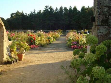 Rendez-vous aux Jardins - Parc et jardins du château de Tournelay