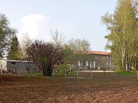 Gîte Les Hamacs