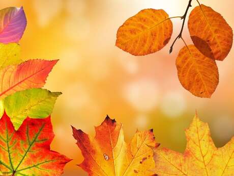 Repas d'automne à Aubas