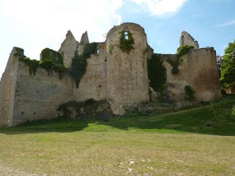 Château De Bressuire