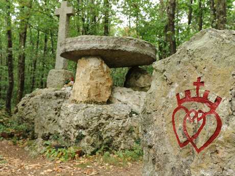 Nueil-Les-Aubiers - Le bois des chèvres