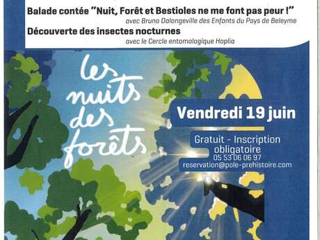 La nuit des forêts
