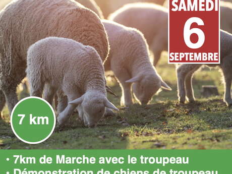 8ème Fête de la Transhumance