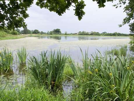 Espace Naturel Sensible Etang de Beaurepaire
