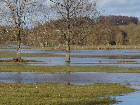 Espace Naturel Sensible La Prée des Cosses
