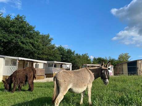 Camping de la Ferme aux Ânesses