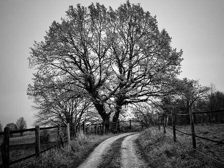 Section Patrimoine: témoignages des anciens de Saint Cyprien et environs par Jean Paul Auriac