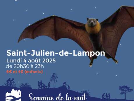 SEMAINE DE LA NUIT : Bal des Chauves-souris à Saint-Julien-de-Lampon