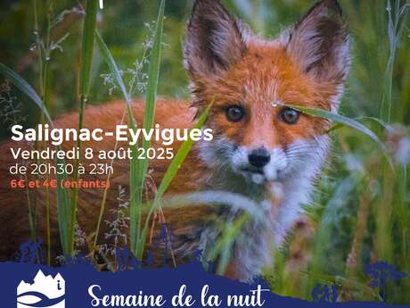 SEMAINE DE LA NUIT : Sur la piste des petits carnivores à Salignac-Eyvigues