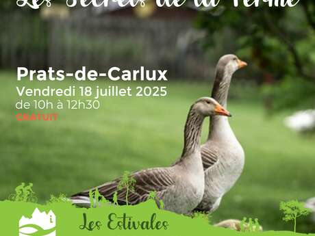 ESTIVALES : Les secrets de la ferme - Prats-de-Carlux