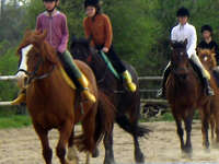 Centre Equestre Le Hameau du Nay