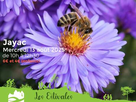 LES ESTIVALES : Le monde des abeilles - Jayac