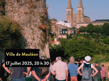 Visite nocturne - Mauléon