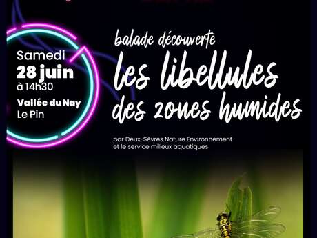 L'Aggl'eau Show - Balade découverte