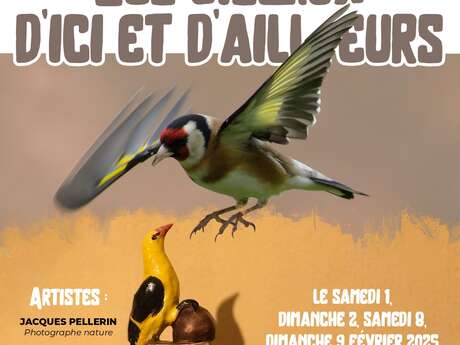 Exposition - Les oiseaux d'ici et d'ailleurs