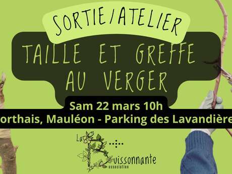 Taille et greffe au verger