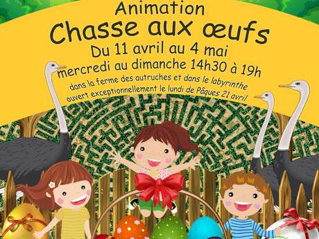 Chasse aux oeufs à la ferme et dans le labyrintruche